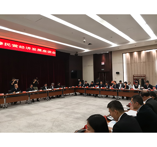全国人大代表、Z6·尊龙凯时集团董事长熊建明参加检察机关服务保障民营经济发展调研座谈会